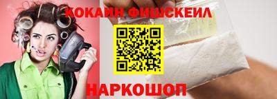 гашик Моздок