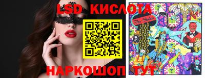 гашик Моздок