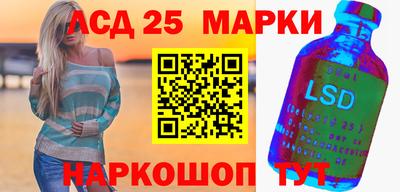 гашик Моздок