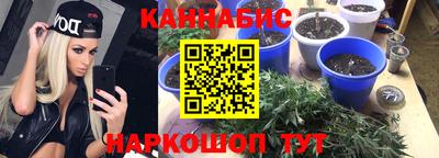 гашик Моздок