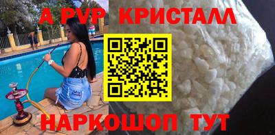 гашик Моздок