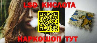 гашик Моздок